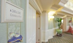 Disneyland Hotel 15 Sflaynhotels