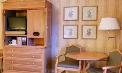 Disneyland Hotel 21 Sflaynhotels