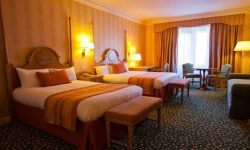 Disneyland Hotel 28 Sflaynhotels