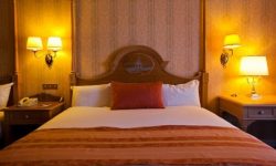 Disneyland Hotel 29 Sflaynhotels