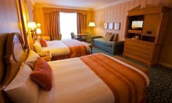 Disneyland Hotel 31 Sflaynhotels
