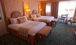 Disneyland Hotel 43 Sflaynhotels