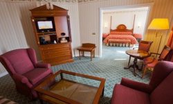 Disneyland Hotel 57 Sflaynhotels