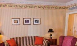 Disneyland Hotel 59 Sflaynhotels