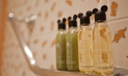 Disneyland Hotel 64 Sflaynhotels