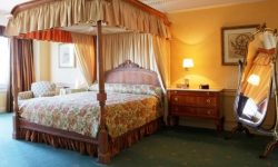 Disneyland Hotel 67 Sflaynhotels