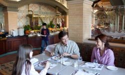 Disneyland Hotel 69 Sflaynhotels