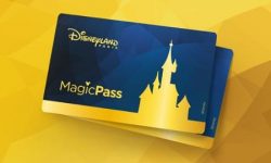 Disneyland Hotel 83 Sflaynhotels