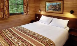 Disney's Davy Crockett Ranch 11 Sflaynhotels