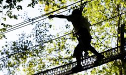 Disney's Davy Crockett Ranch 26 Sflaynhotels