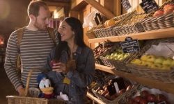 Disney's Davy Crockett Ranch 28 Sflaynhotels