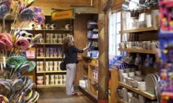 Disney's Davy Crockett Ranch 29 Sflaynhotels