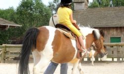 Disney's Hotel Cheyenne 4 Sflaynhotels