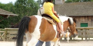Disney's Hotel Cheyenne 4 Sflaynhotels