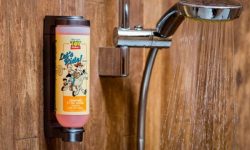 Disney's Sequoia Lodge 31 Sflaynhotels