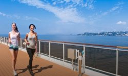 MSC Armonia 94 SflaynHotels